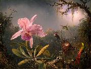 Martin Johnson Heade Cattleya Orchid and Three Hummingbirds painting